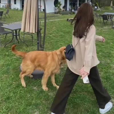 追女仔